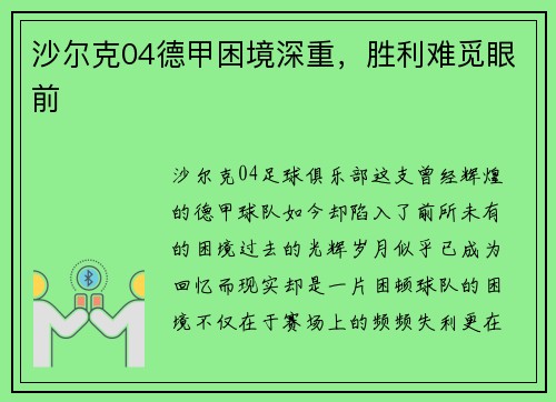 沙尔克04德甲困境深重，胜利难觅眼前
